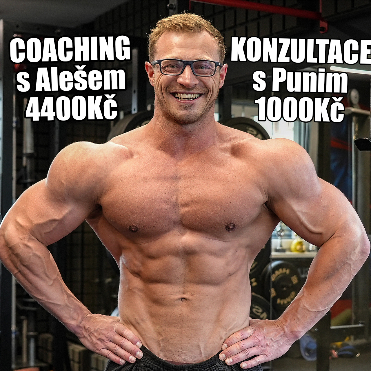 Online Coaching Měsíc s Alešem + Konzultace s Punim