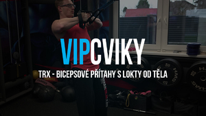 TRX - BICEPSOVÉ PŘÍTAHY S LOKTY OD TĚLA