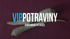 KOŘENOVÁ PETRŽEL